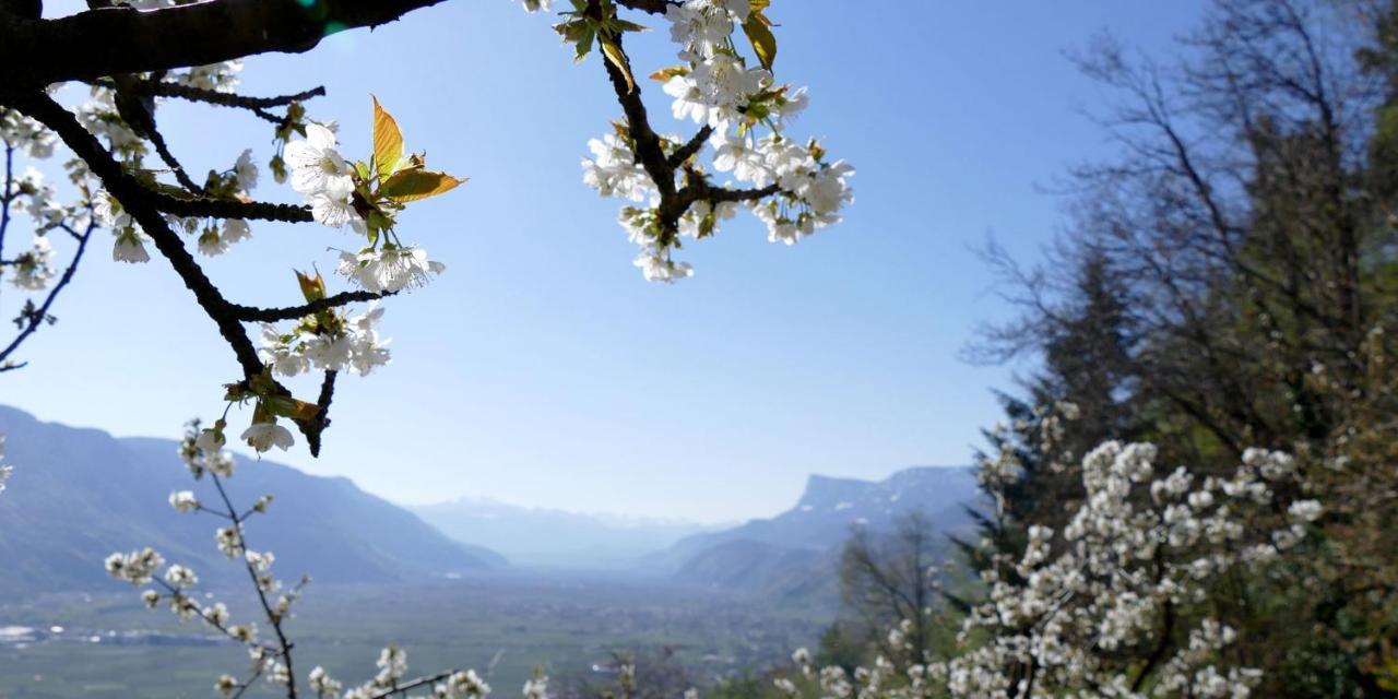 Der Luemerhof Marlengo Esterno foto